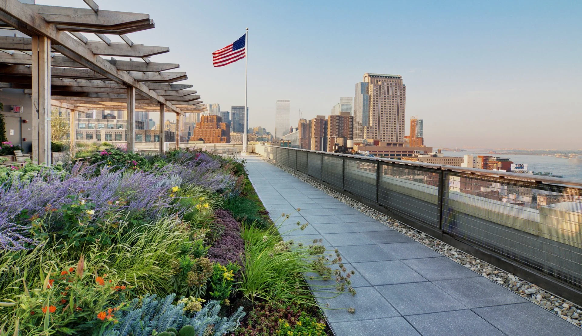View of the green roof located at 250 Hudson Street.