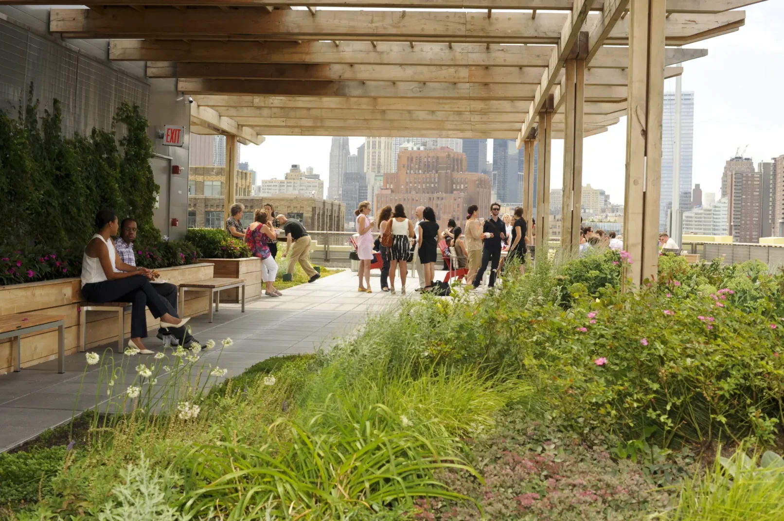 View of the green roof located at 250 Hudson Street.